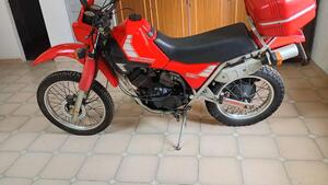 Morini  
