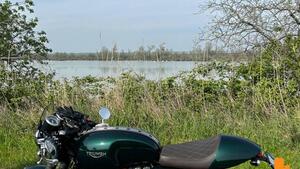 Triumph Thruxton 1200 R (2017 - 20) 