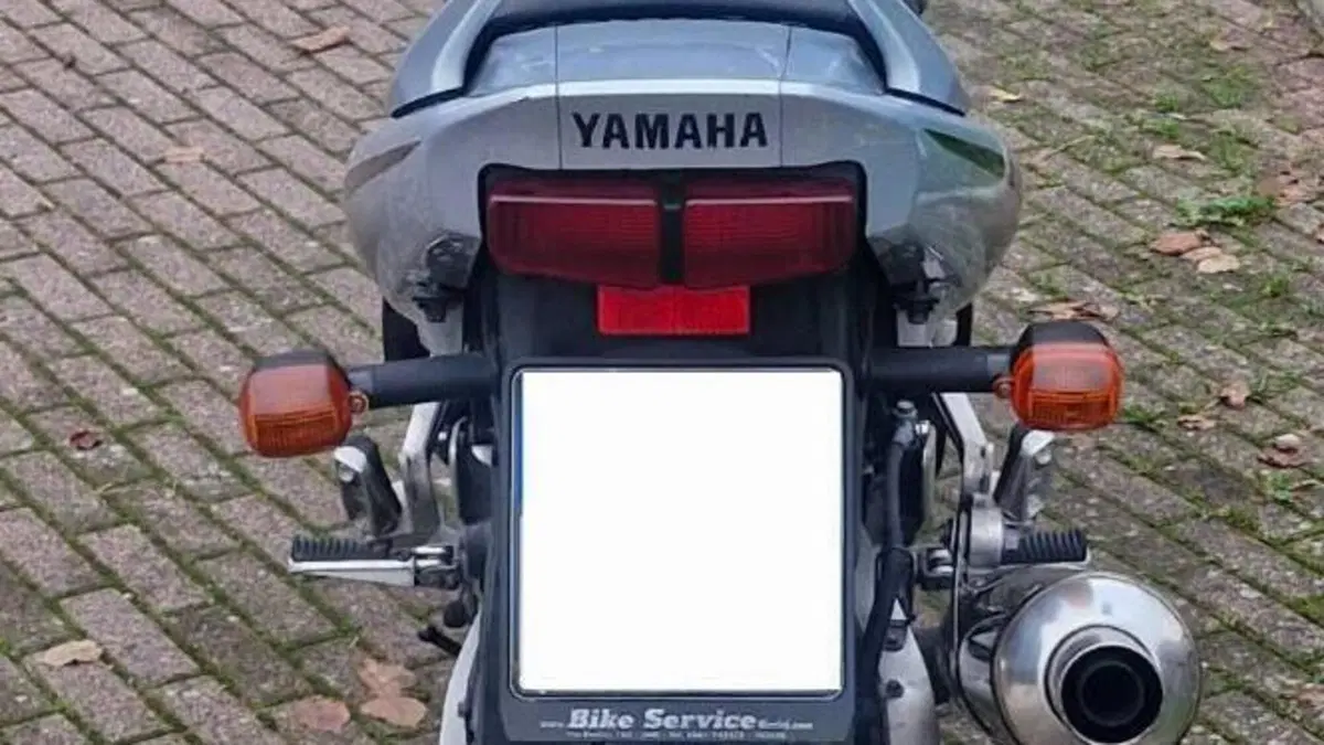 Yamaha FZS 600 Fazer (2002 - 03)  (7)