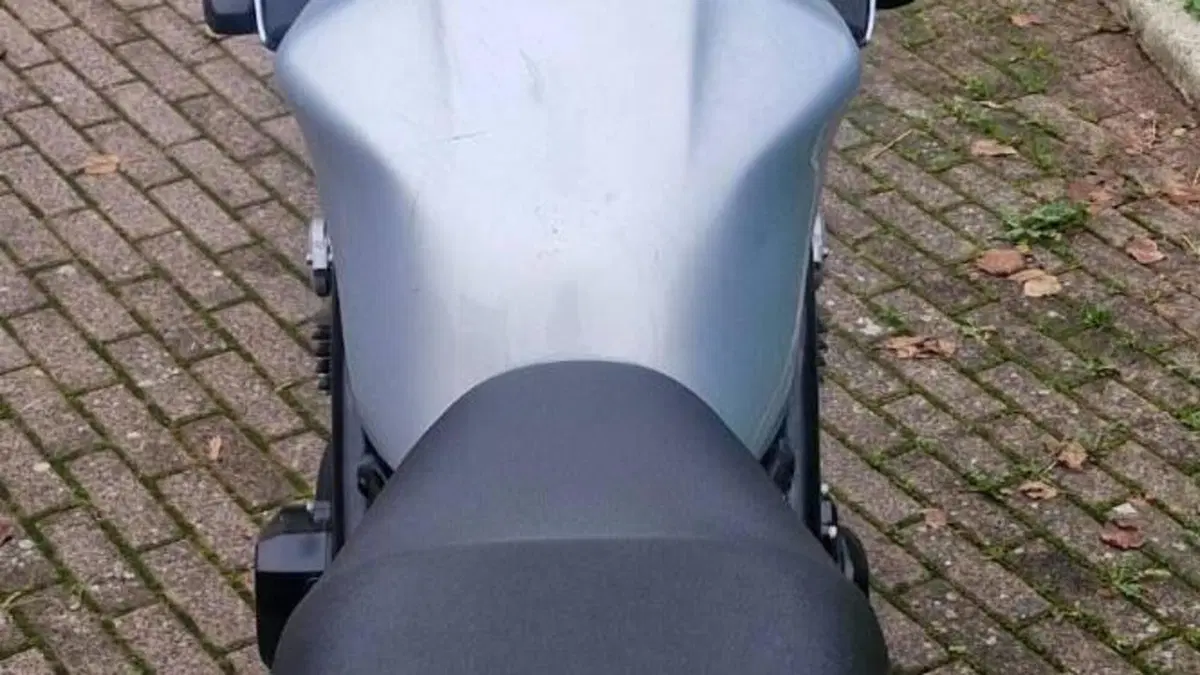 Yamaha FZS 600 Fazer (2002 - 03)  (8)