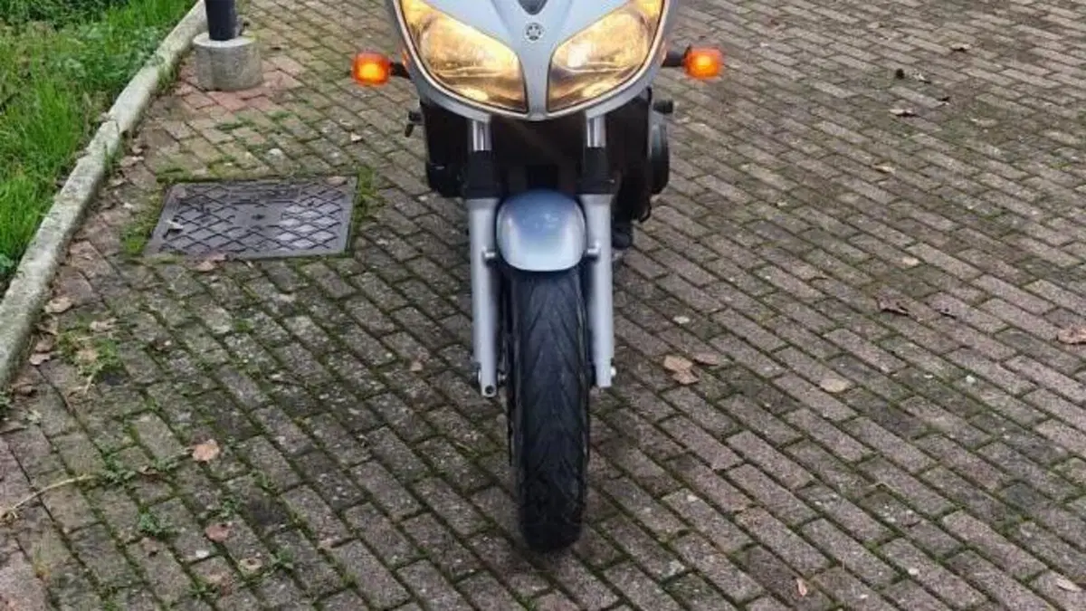 Yamaha FZS 600 Fazer (2002 - 03)  (10)