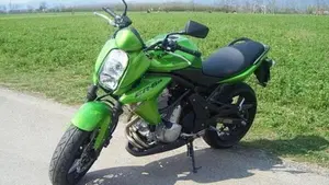 Kawasaki ER-6N (2006 - 09)  (2)