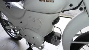 Moto Guzzi   (7)