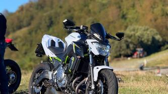 Kawasaki Z 650 Performance (2019 - 20) usata