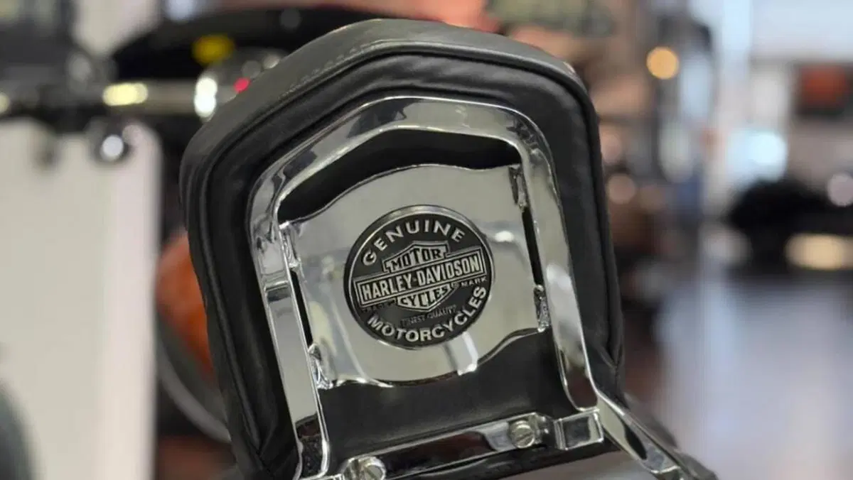 Harley-Davidson 1200 Custom CA (2013 - 17) - XL 1200CA  (7)