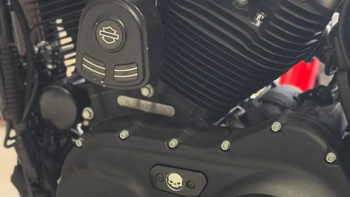 Harley-Davidson 1200 Custom CA (2013 - 17) - XL 1200CA  (8)