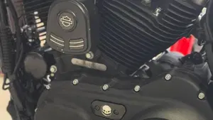 Harley-Davidson 1200 Custom CA (2013 - 17) - XL 1200CA  (8)