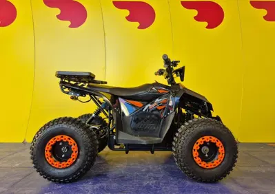  Altre moto o tipologie Quad - Annuncio 9941511