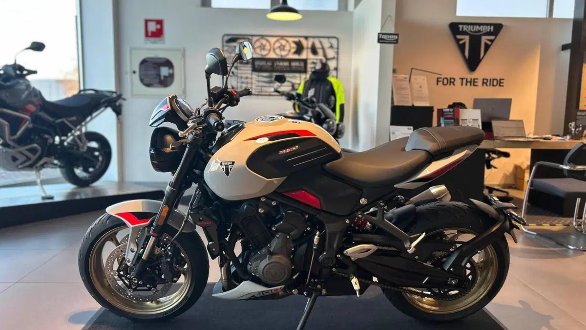 Triumph Trident 800 (2026)  (3)