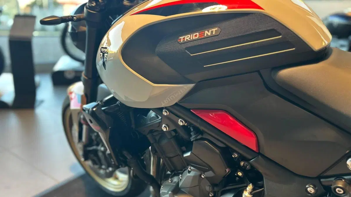 Triumph Trident 800 (2026)  (6)