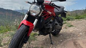 Ducati Monster 821 (2018 - 20) 