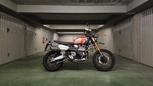 Triumph Scrambler 1200 XE Gold Line Edition (2021 - 22) 