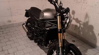 Benelli Leoncino 800 (2022 - 26) usata