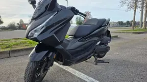 Honda Forza 350 (2025 - 26) 