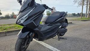 Honda Forza 350 (2025 - 26) 