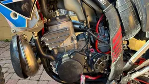 GASGAS EC 300 (2009)  (4)