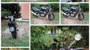 Suzuki GSF 600 Bandit (2000 - 05) 