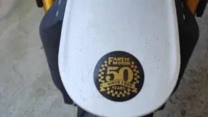 Fantic Motor Caballero 500 Scrambler Deluxe (2021 - 23)  (5)