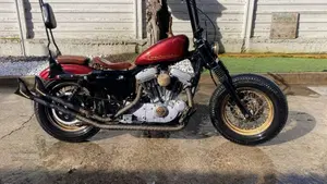 Harley-Davidson 883 Standard (2001 - 05) - XL 883 
