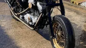 Harley-Davidson 883 Standard (2001 - 05) - XL 883  (2)