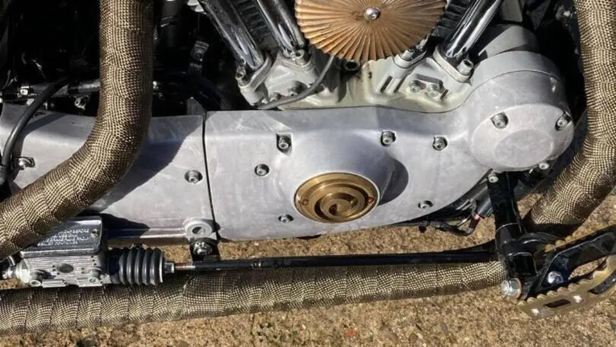 Harley-Davidson 883 Standard (2001 - 05) - XL 883  (3)