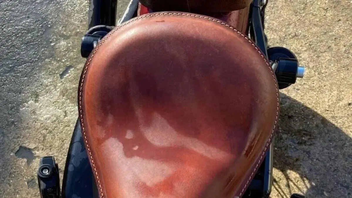 Harley-Davidson 883 Standard (2001 - 05) - XL 883  (4)