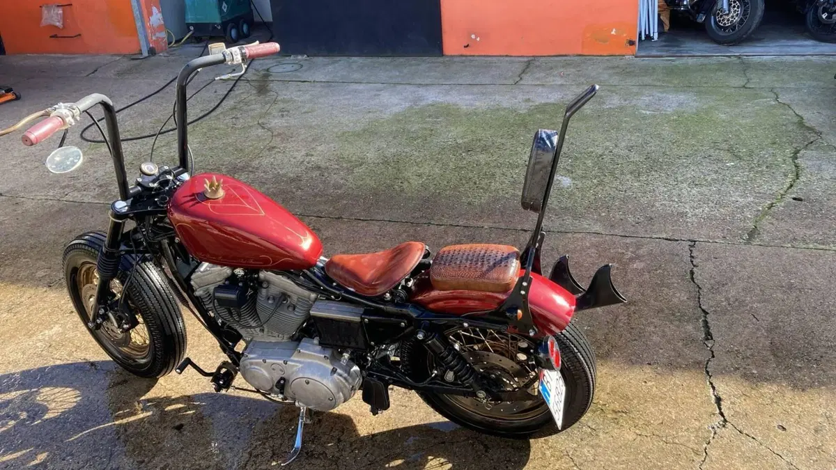 Harley-Davidson 883 Standard (2001 - 05) - XL 883  (6)