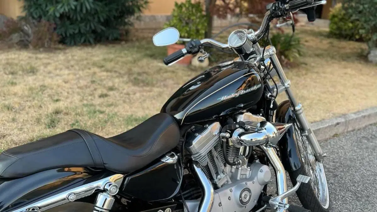 Harley-Davidson 883 Low (2006 - 07) - XL 883L  (2)