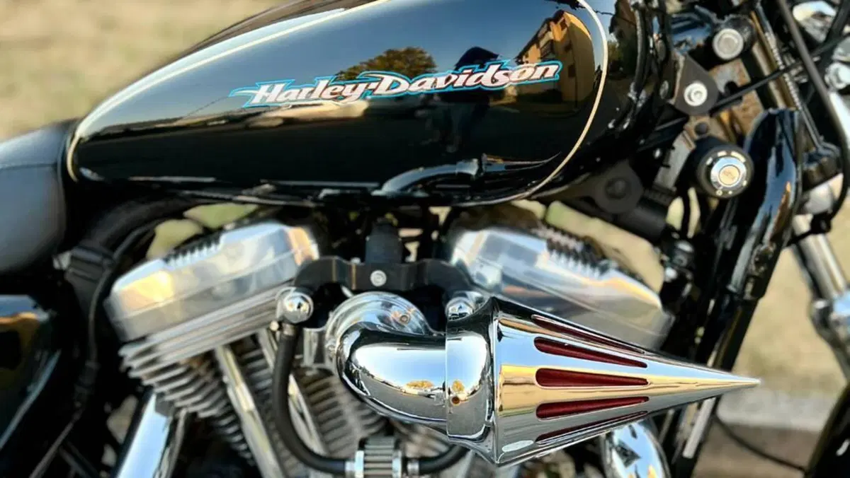 Harley-Davidson 883 Low (2006 - 07) - XL 883L  (3)