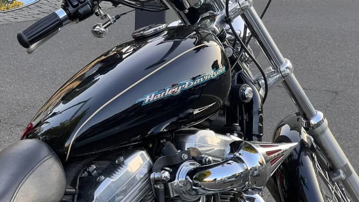 Harley-Davidson 883 Low (2006 - 07) - XL 883L  (4)