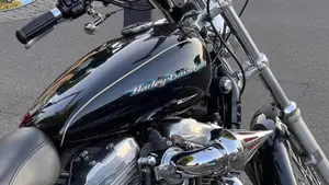 Harley-Davidson 883 Low (2006 - 07) - XL 883L  (4)