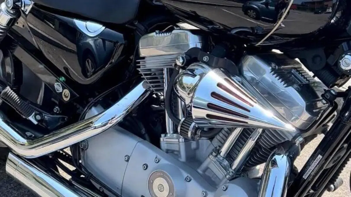 Harley-Davidson 883 Low (2006 - 07) - XL 883L  (5)