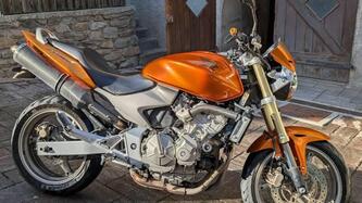 Honda Hornet 600 (2005 - 06) usata