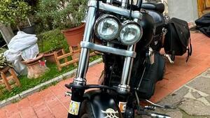 Harley-Davidson 1584 Fat Bob (2007 - 13) - FXDF 