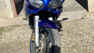 Suzuki SV 650 S (1999 - 02)  (2)