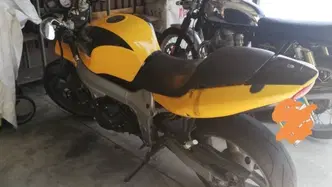 Triumph TT 600 (2002 - 03) usata