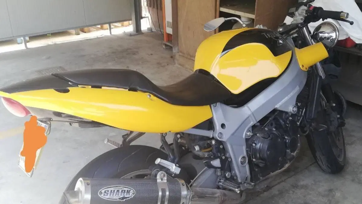 Triumph TT 600 (2002 - 03)  (3)