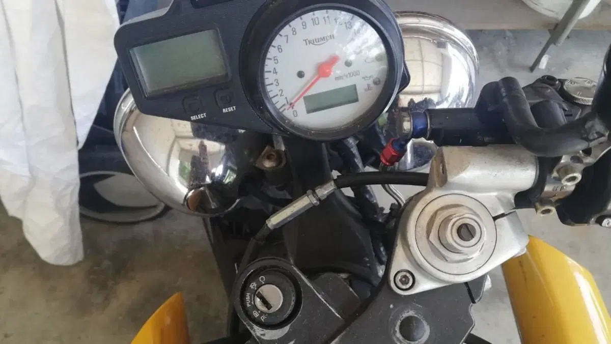 Triumph TT 600 (2002 - 03)  (7)
