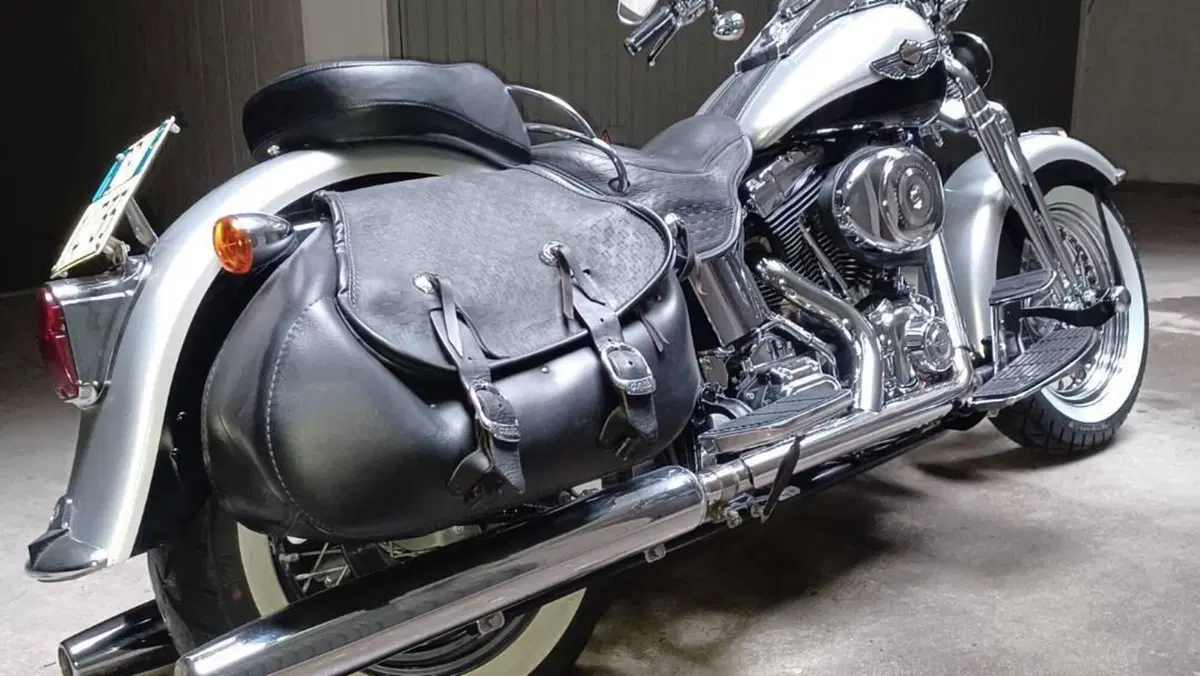 Harley-Davidson 1450 Heritage Springer (2000 - 03) - FLSTS  (2)