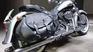Harley-Davidson 1450 Heritage Springer (2000 - 03) - FLSTS  (2)