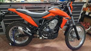 Betamotor Alp 4.0 (2024 - 26) 