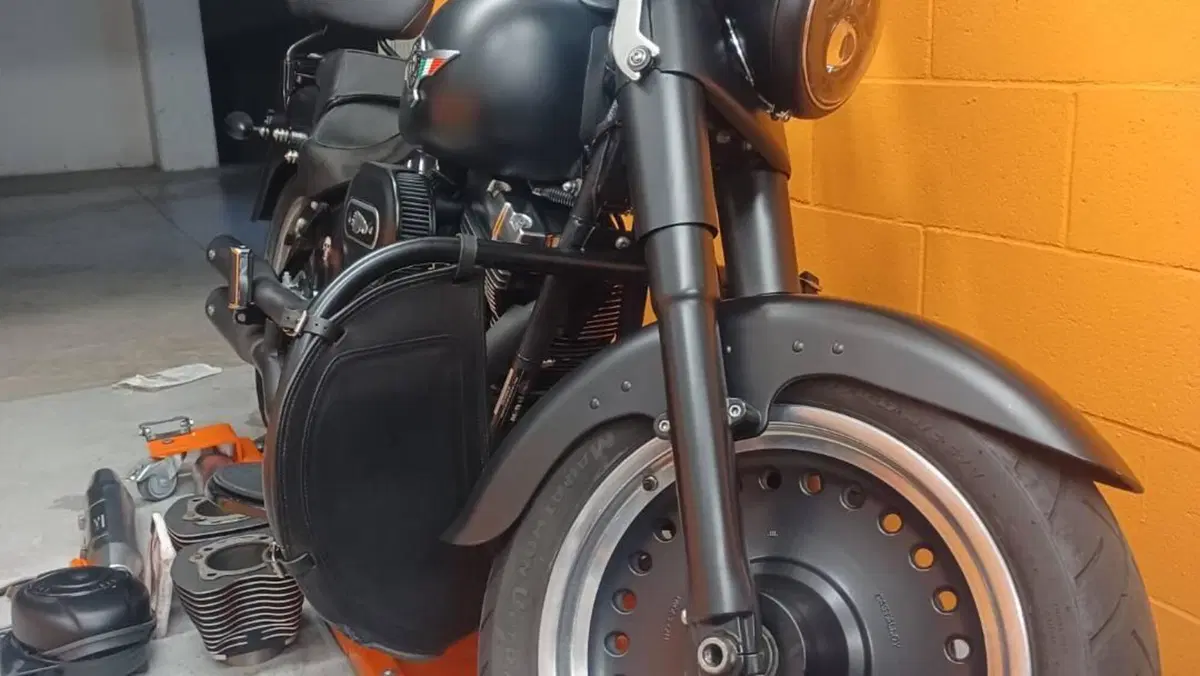 Harley-Davidson 1584 Fat Boy (2008 - 10) - FLSTF  (4)