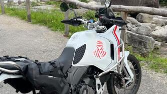 Ducati DesertX (2022 - 25) usata