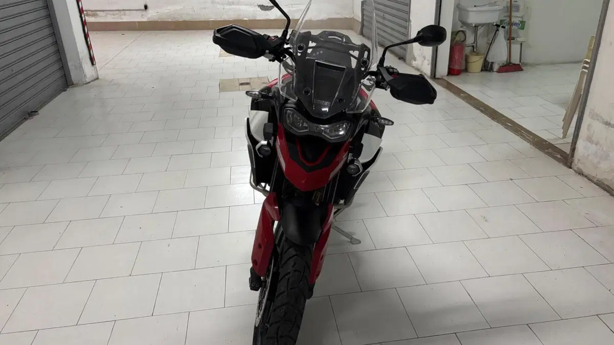 Triumph Tiger 900 GT Aragón Edition (2023 - 24)  (4)