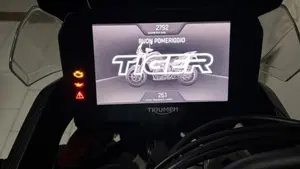 Triumph Tiger 900 GT Aragón Edition (2023 - 24)  (10)