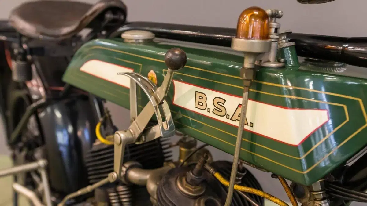 Bsa   (6)