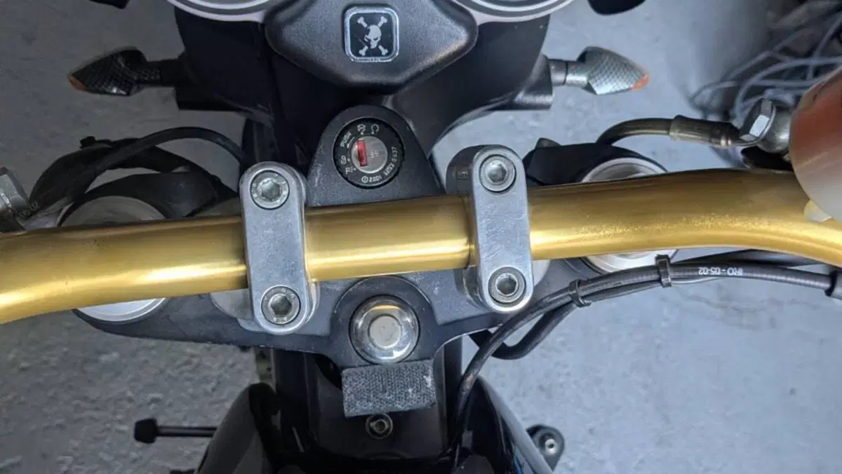 Moto Guzzi V11 Le Mans (2001 - 06)  (6)