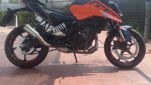 KTM 125 Duke (2024 - 25) 