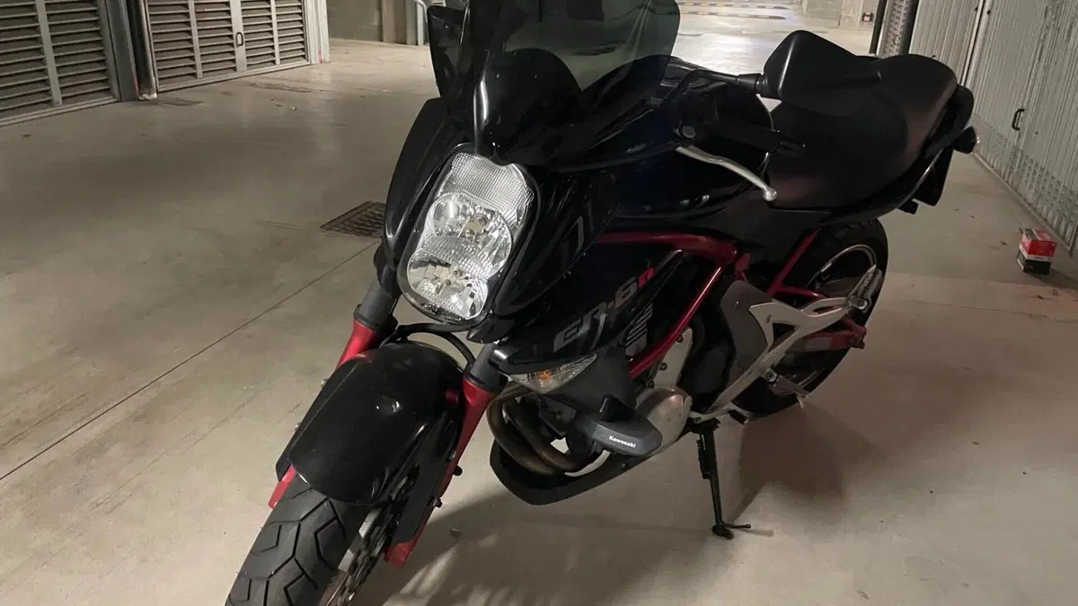 Kawasaki ER-6N (2006 - 09)  (2)