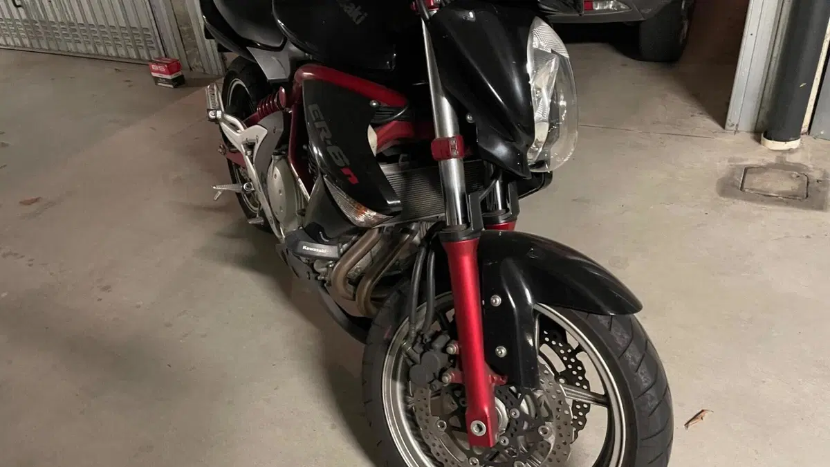 Kawasaki ER-6N (2006 - 09)  (4)
